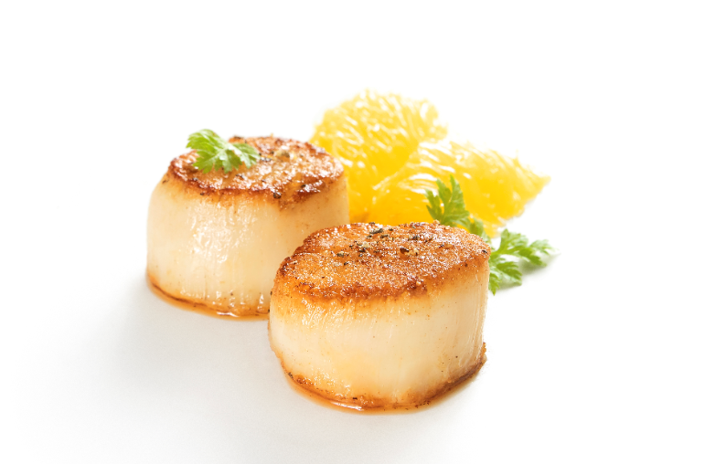 Canadian Sea Scallop