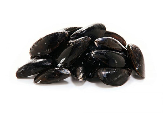 Fresh Mussels