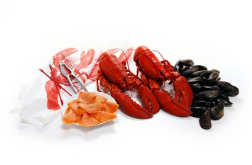 East Coast Dinner for Two (Cooked Lobster)  - lobster picks, bibs, lobster crackers, smoked salmon, lobster, mussels