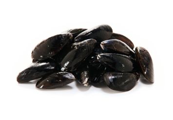 fresh mussels